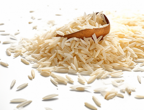 Revolutionizing Construction with Rice Husks: A Leap Towards Sustainability and Eco-Friendliness